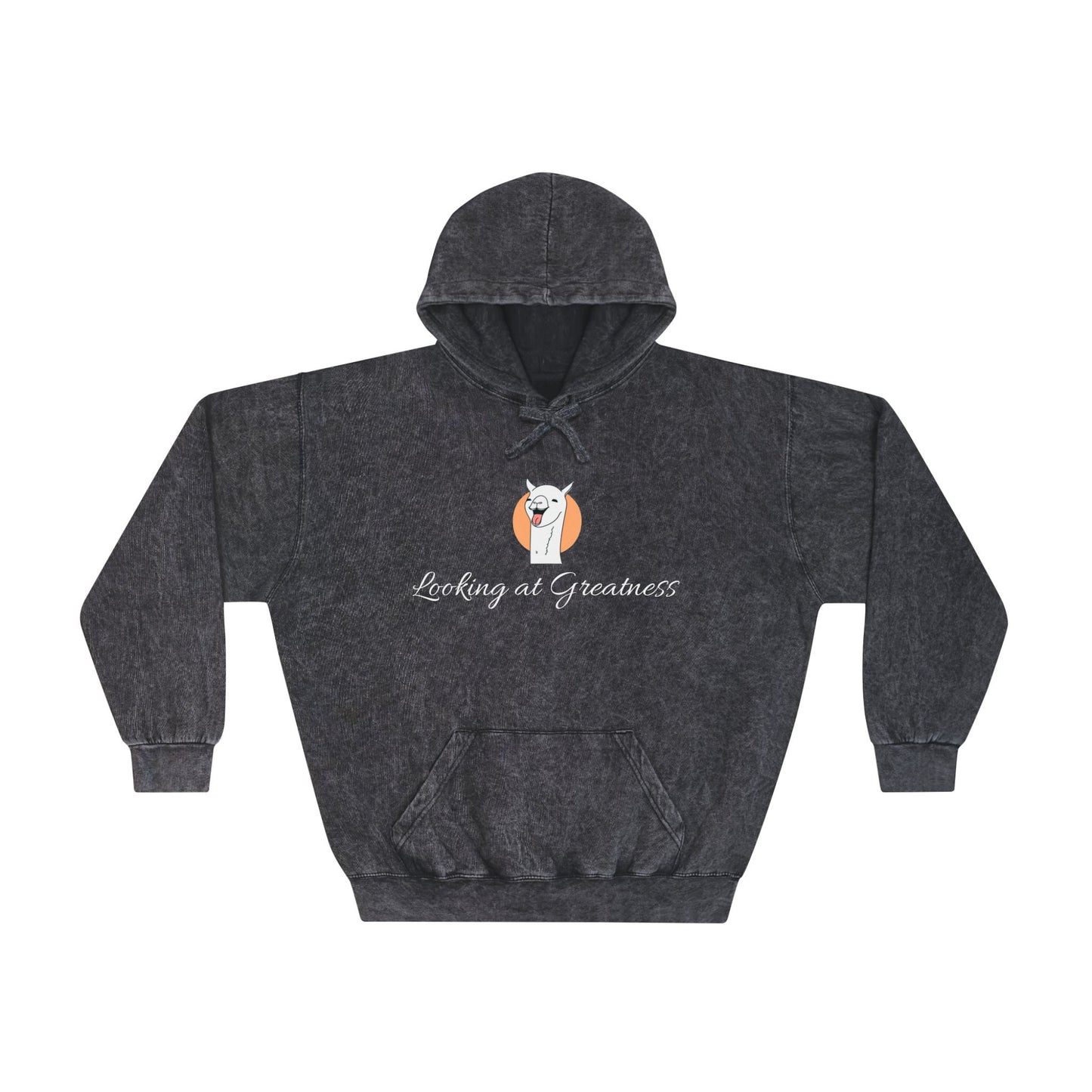 A RozziDidThat Retro Rebel Hoodie!